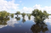Разлив реки Томь_18