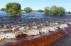 Разлив реки Томь_20