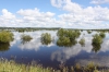 Разлив реки Томь_28