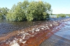 Разлив реки Томь_34