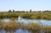 Разлив реки Томь_41