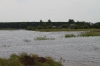 Разлив реки Томь_9
