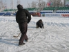 Открытие ледового сезона на стадионе Амурсельмаш_30
