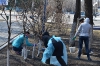 Субботник