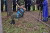 Юнармия