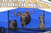 Сельхозярмарка «Этой ярмарки краски»